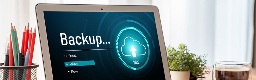 Data Backup Strategies: A Small Business Survival Guide